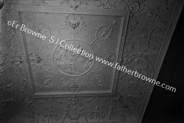 KILSHANNIG HOUSE CEILING OF DINING ROOM  SEE ALSO CX CORK 17 6